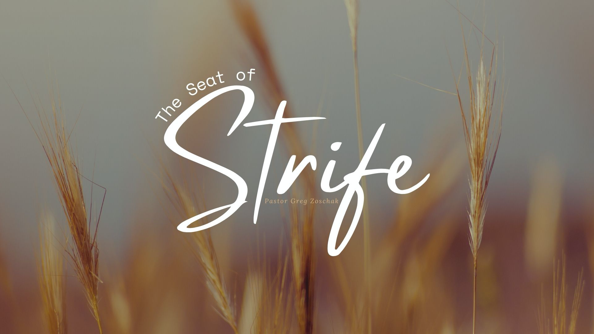 The Seat of Strife // Pastor Greg Zoschak