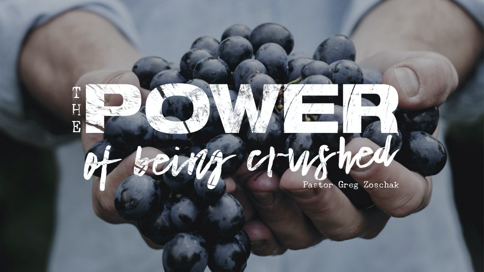 The Power of Being Crushed // Pastor Greg Zoschak