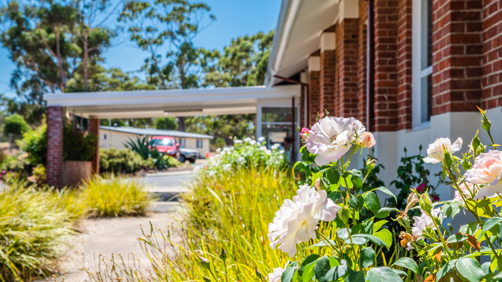 Cameron and Kath Beeck