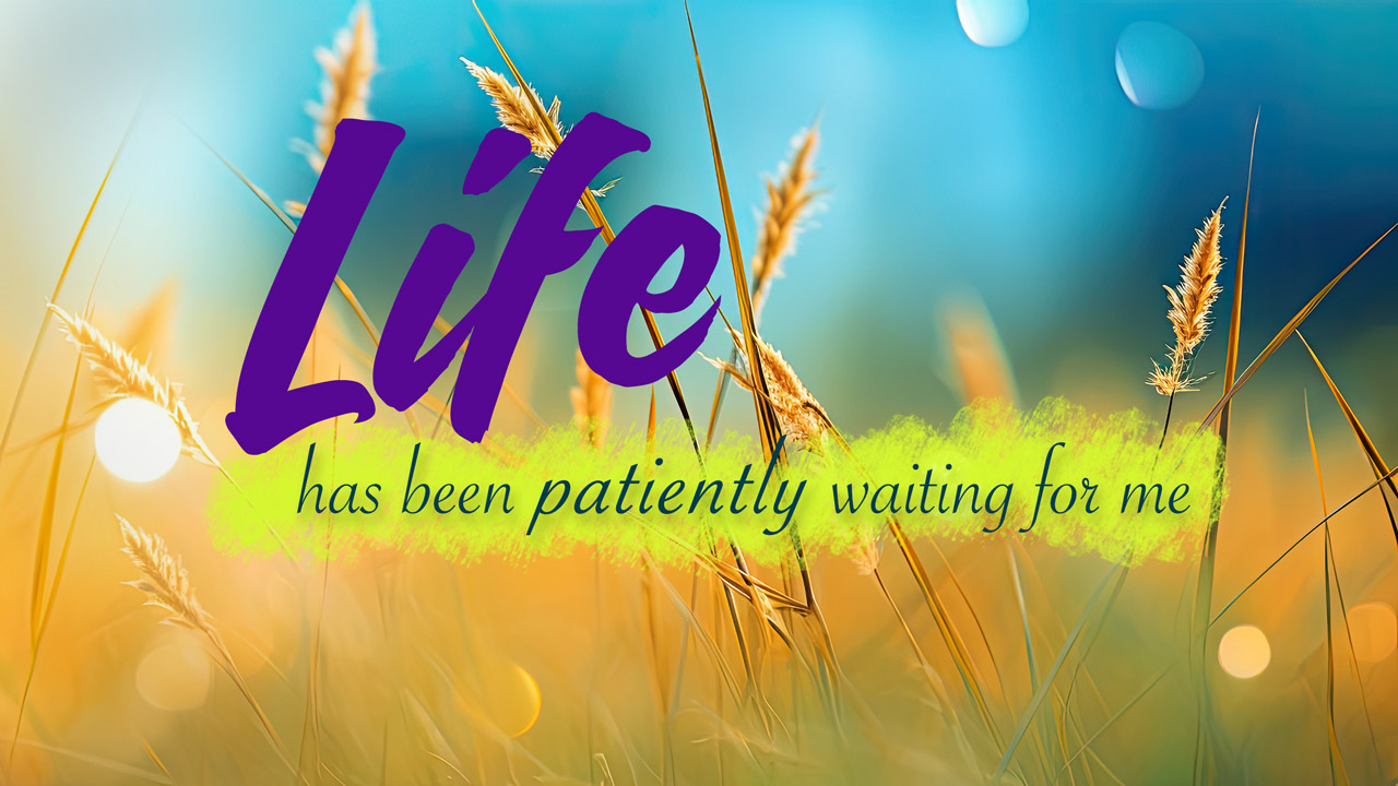 Life Has Been Patiently Waiting for Me