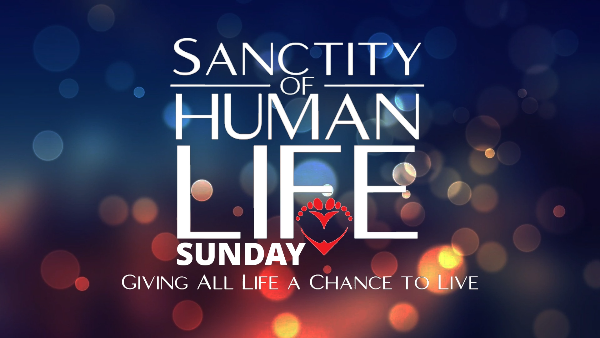 'Guest Speaker - Dr. William Lile, ProLife Doc' - 6.1.2025 episode artwork