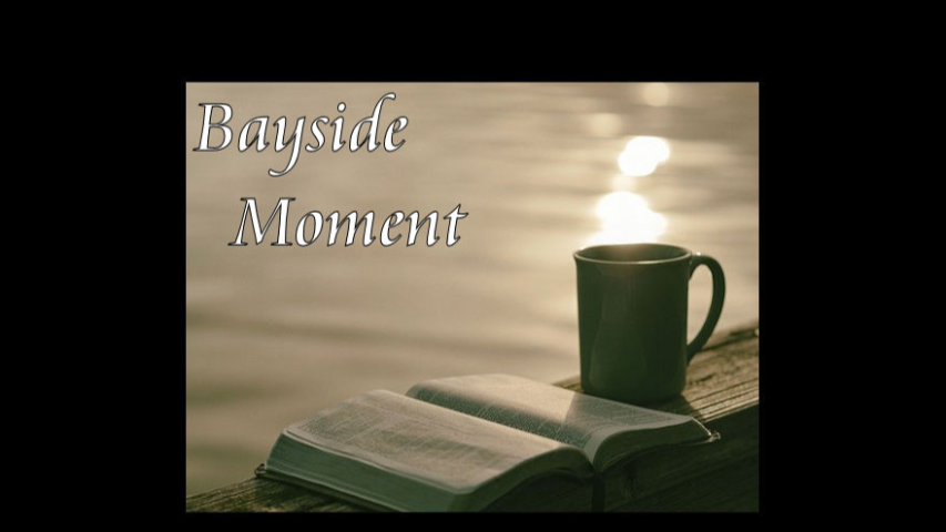 Bayside Moments
