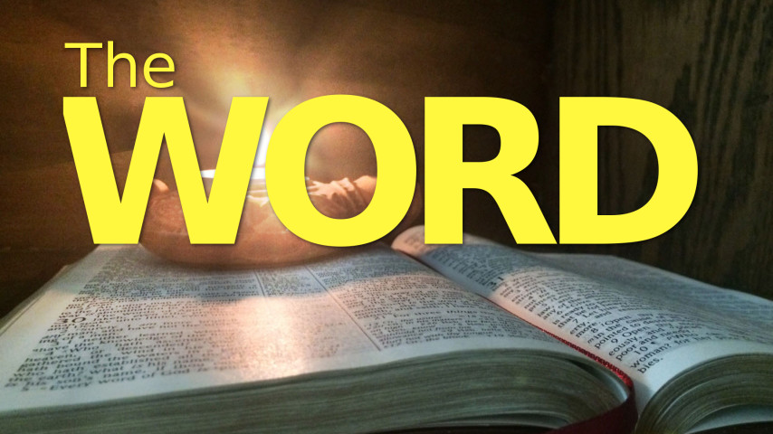 Fire Ants and Grass Burrs - Psalm 119:21-22