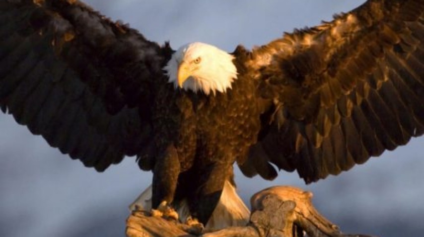 Християнски Център Прелом logo