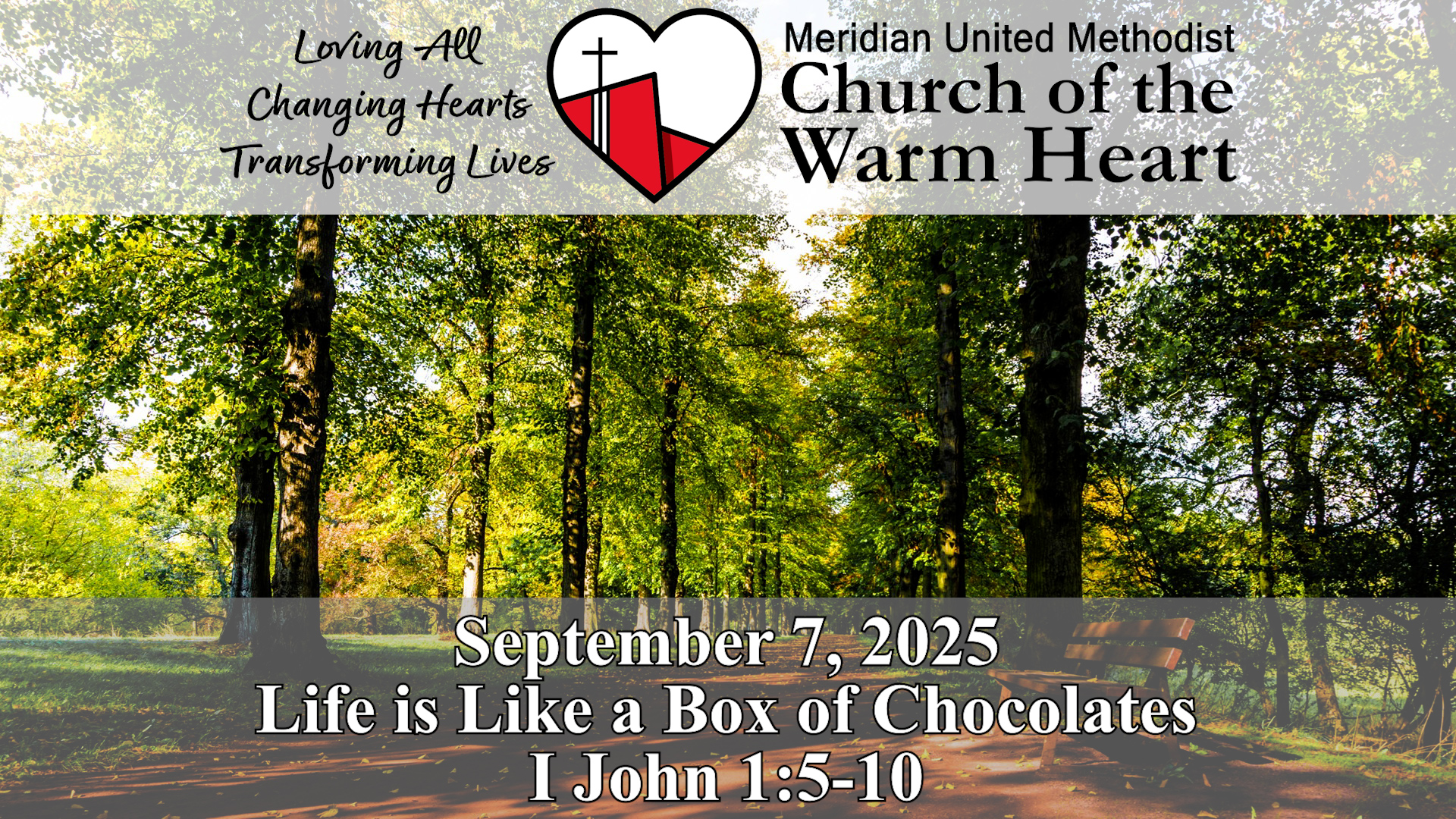 2025-09-07 Life is Like a Box of Chocolates - Video episode artwork