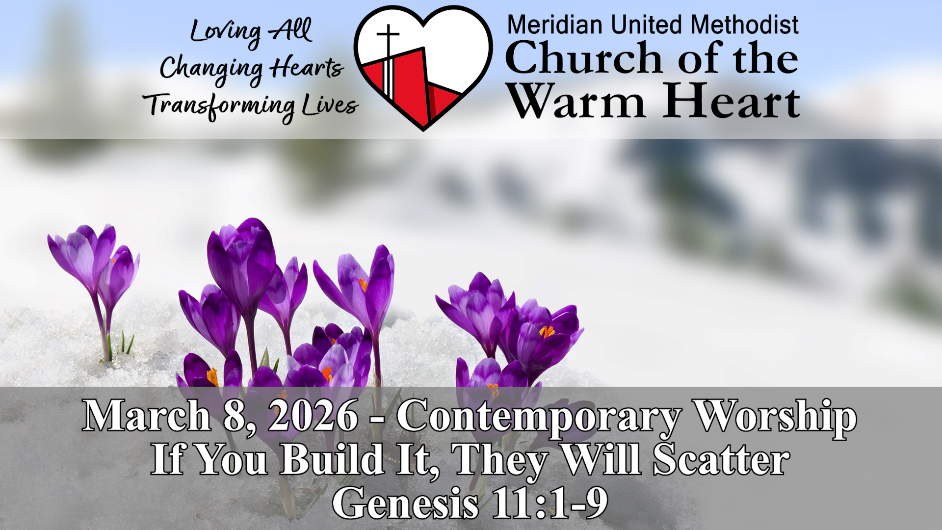 2026-03-08 Contemporary Worship - Audio episode artwork