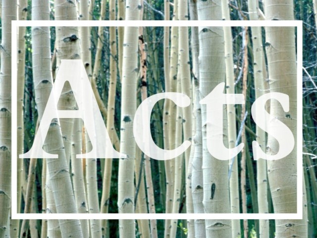 The Study of The Book of Acts: Sermon 19