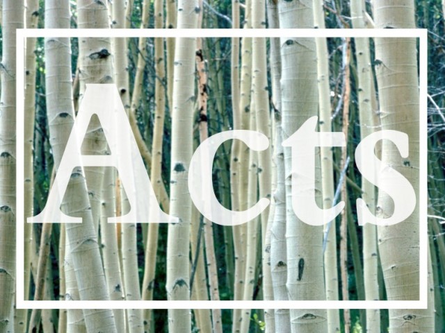 The Study of The Book of Acts: Sermon 10