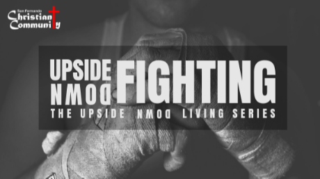 Upside Down Fighting V - Strategies of the Enemy