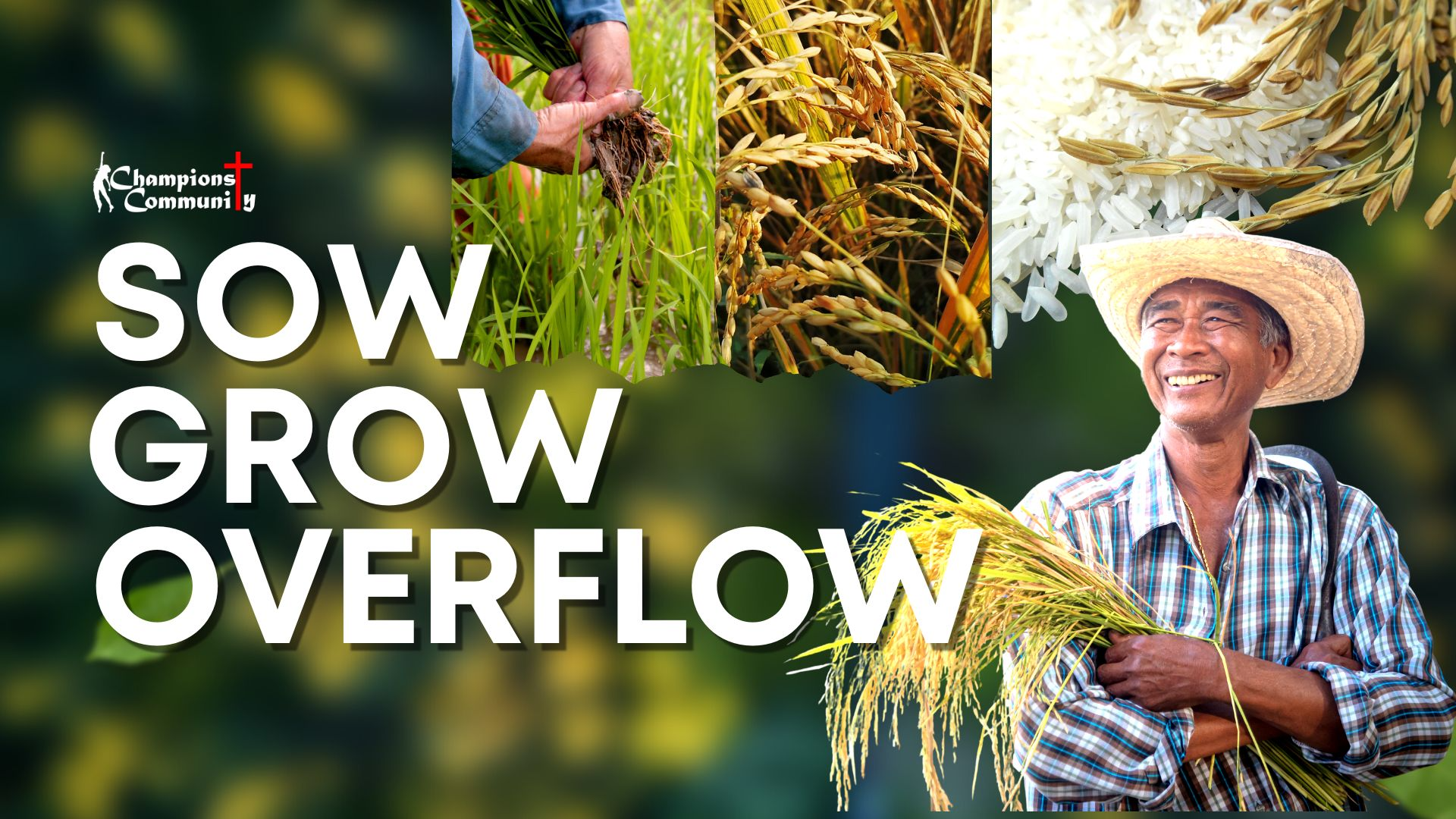 Sow Grow Overflow