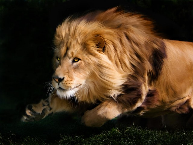 Awareness, Maximum Effort, Focus and Motivation