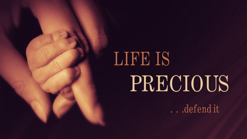 All Life is Precious