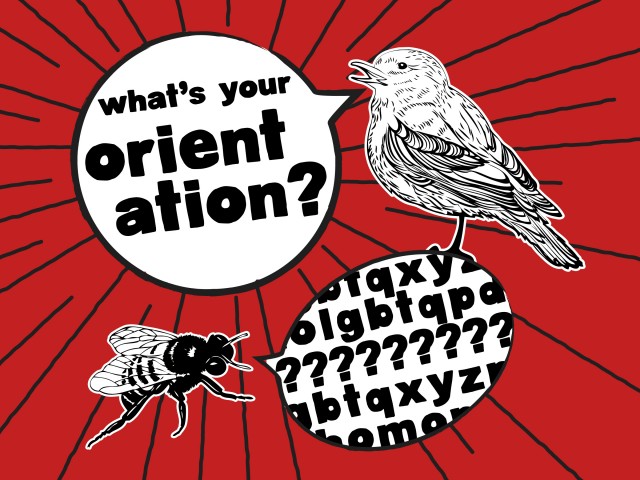 What's Your Orientation? | 11 AM Service - Audio episode artwork