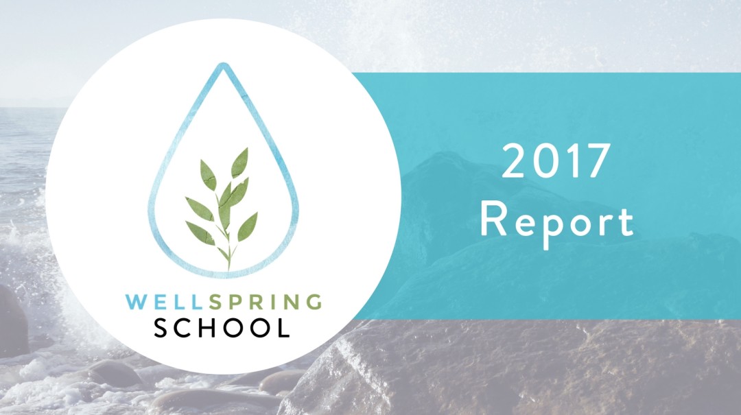 Wellspring Report | 11 AM - Audio episode artwork