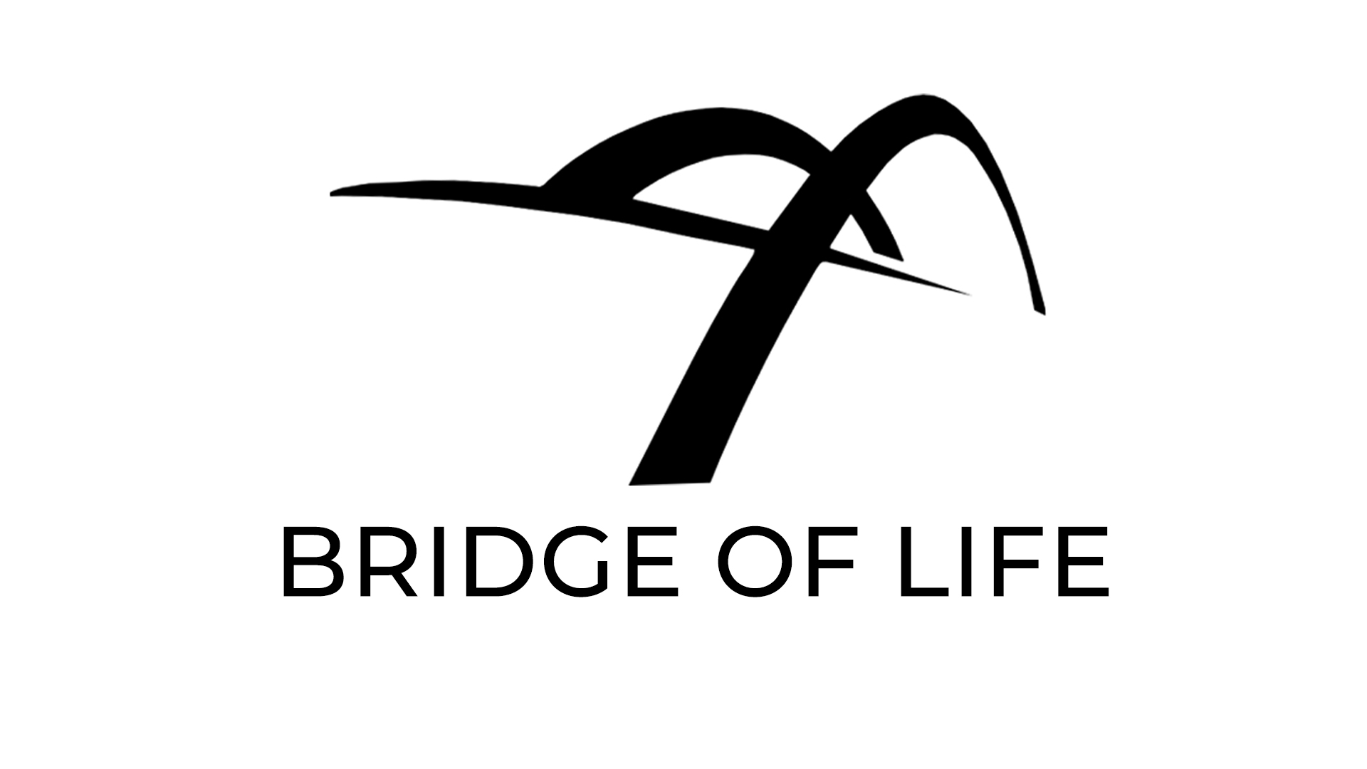 Bridge of Life logo