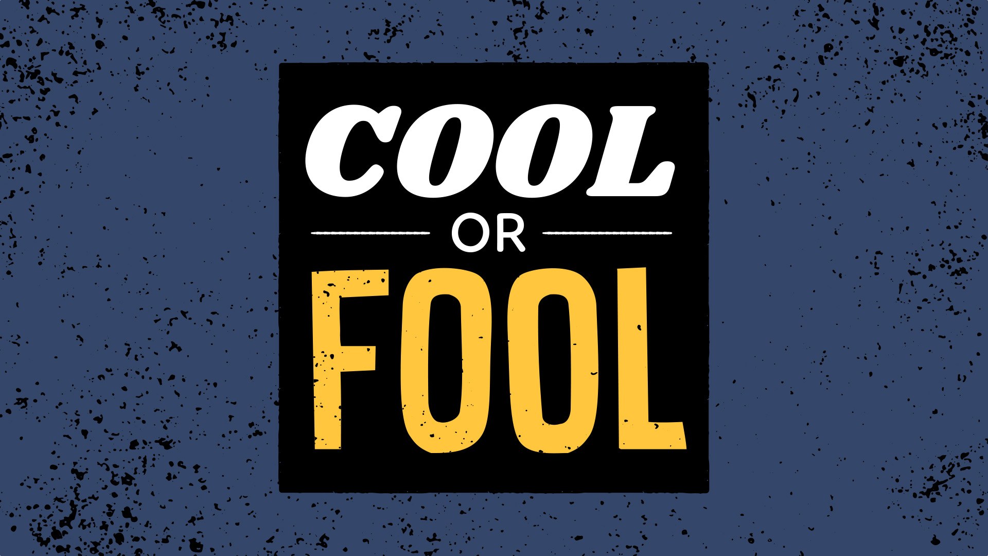 Cool or Fool episode artwork