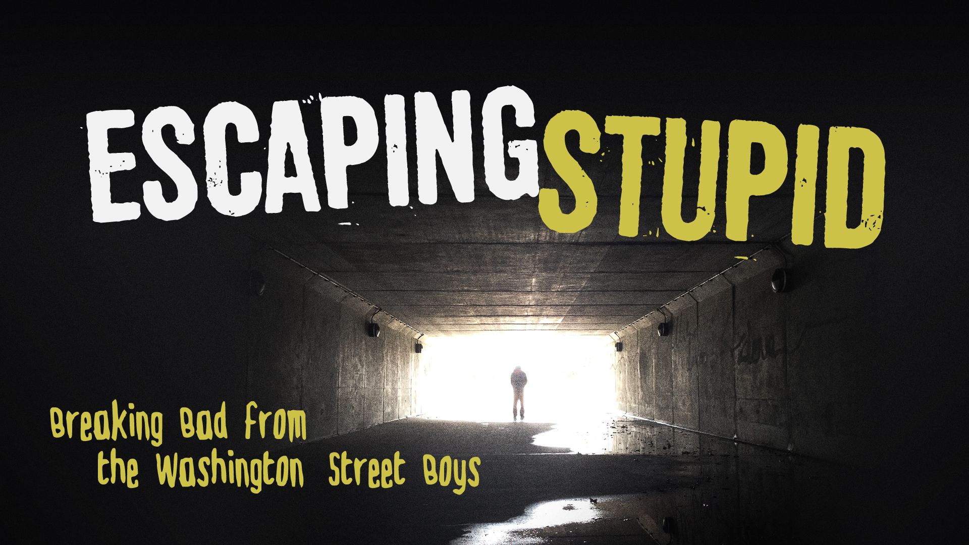 Escaping Stupid: Breaking Bad - The Washington Street Boys episode artwork