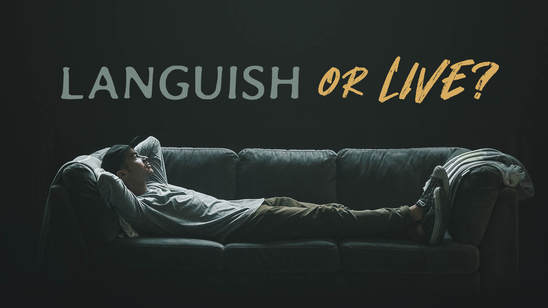 Languish--or Live? episode artwork