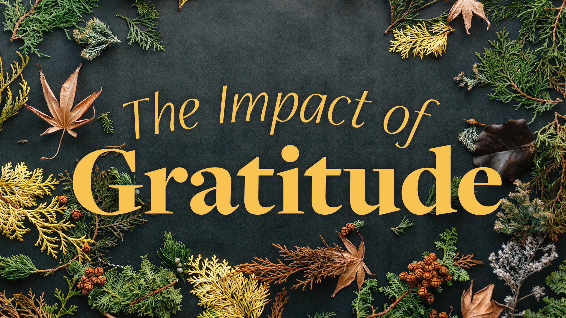 The Impact of Gratitude episode artwork