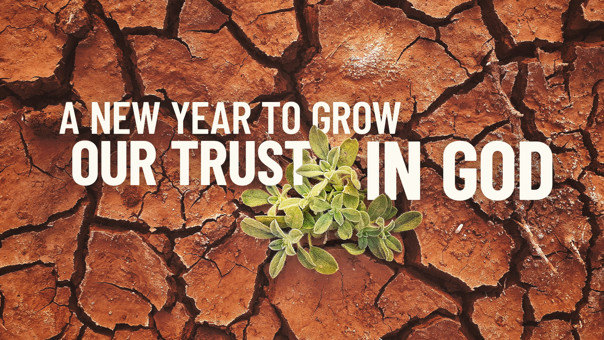 A New Year To Grow Our Trust in God episode artwork