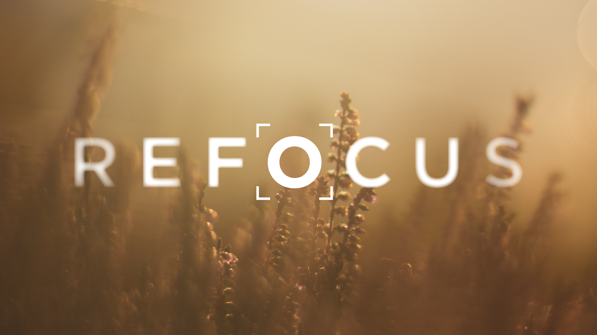Refocus episode artwork