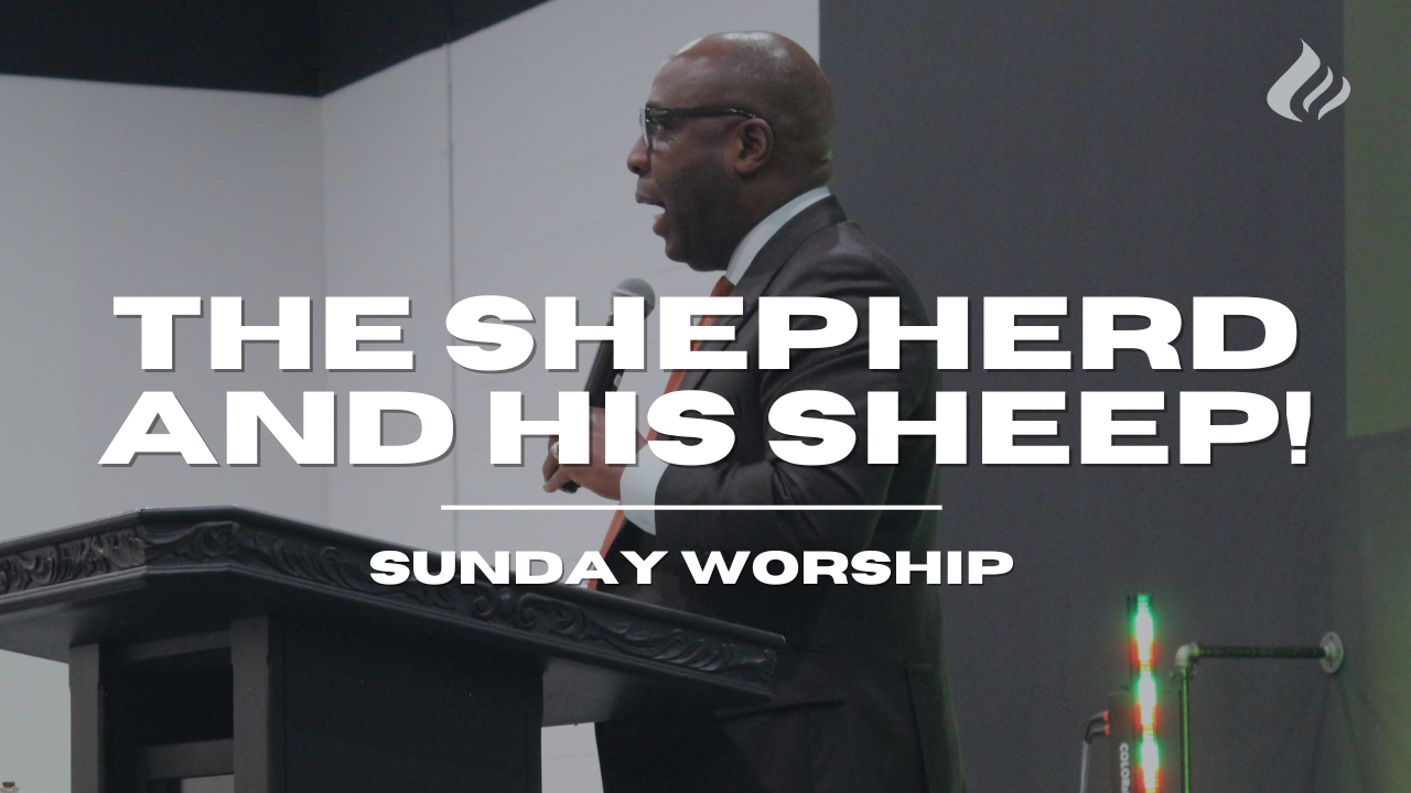 The Shepherd And His sheep | Pastor Wayne Wyatt - 2024/01/21 episode artwork