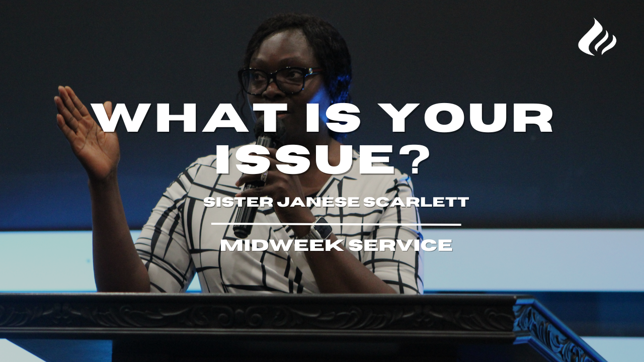 What Is Your Issue? | Janese Scarlett - 2024/07/31 episode artwork