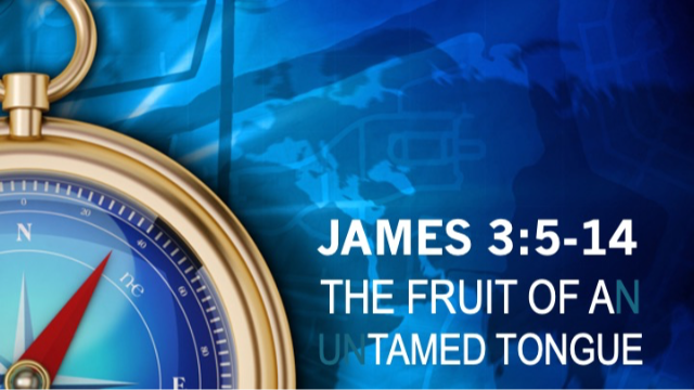 THE FRUIT OF A TAMED TONGUE - James 3:5-14 - Audio