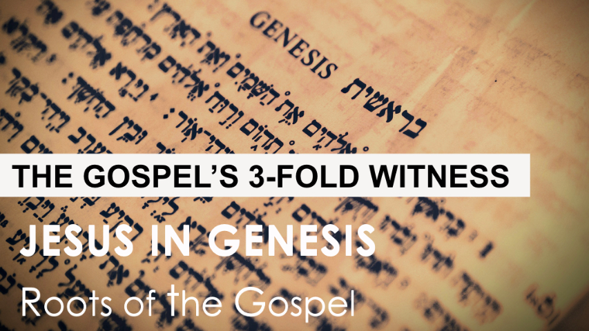 Genesis 8:1-22 - THE GOSPEL'S 3-FOLD WITNESS - Audio episode artwork