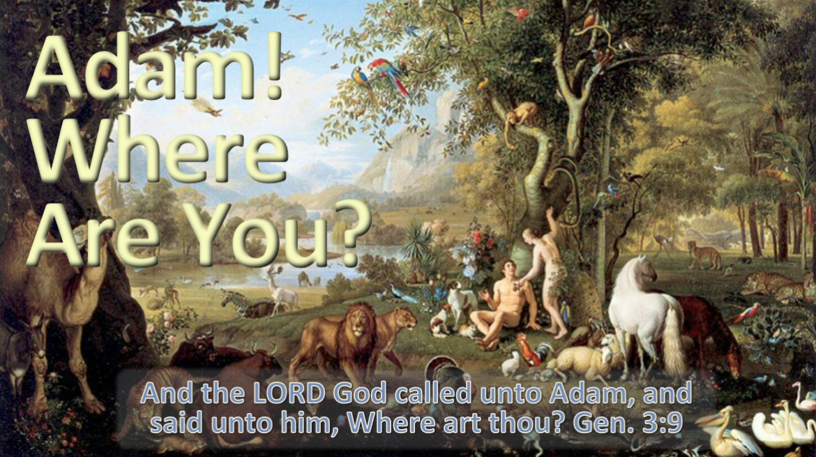 Adam! Where Are You? - 2014/07/12