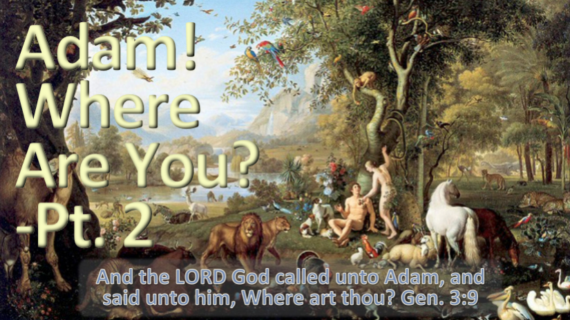 Adam! Where Are You? - Pt2 - 2014/07/19