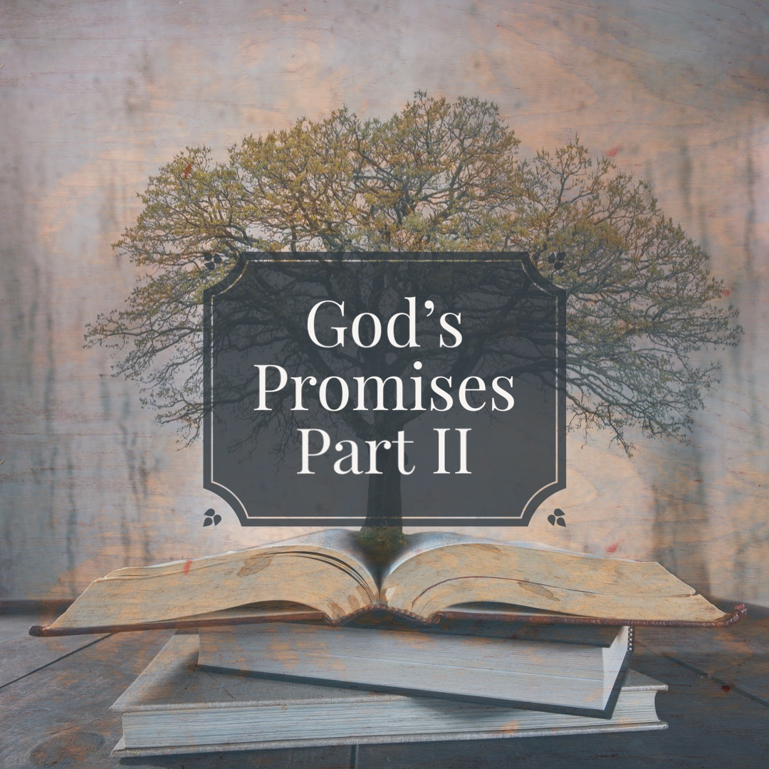 God's Promises - 12/02/2023 episode artwork