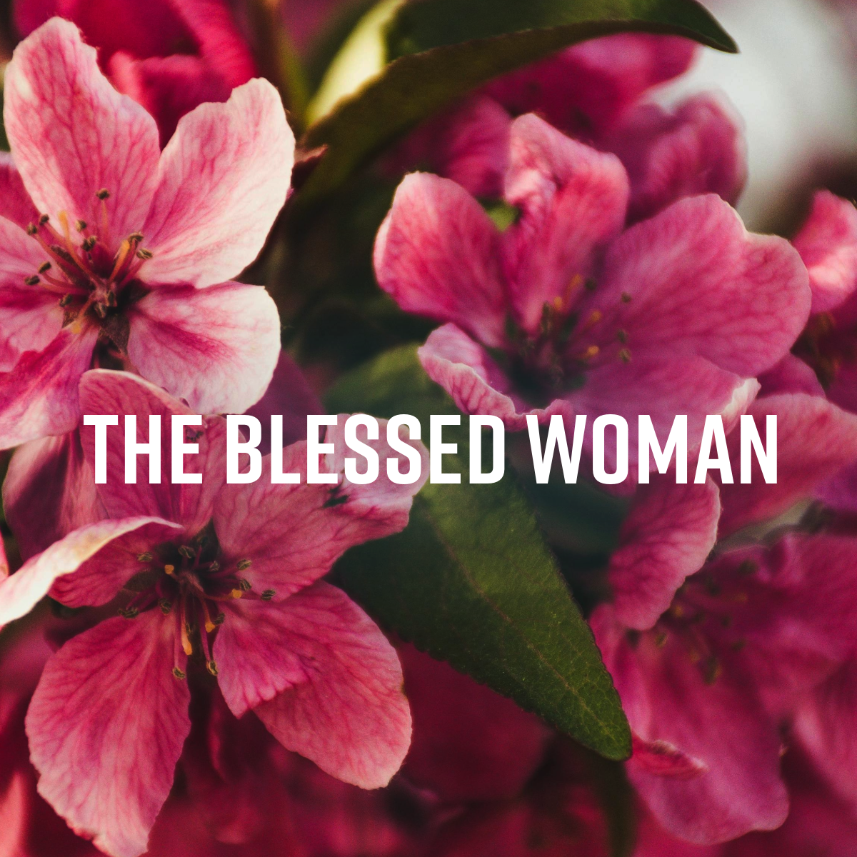 The Blessed Woman - Mother's Day - Audio episode artwork
