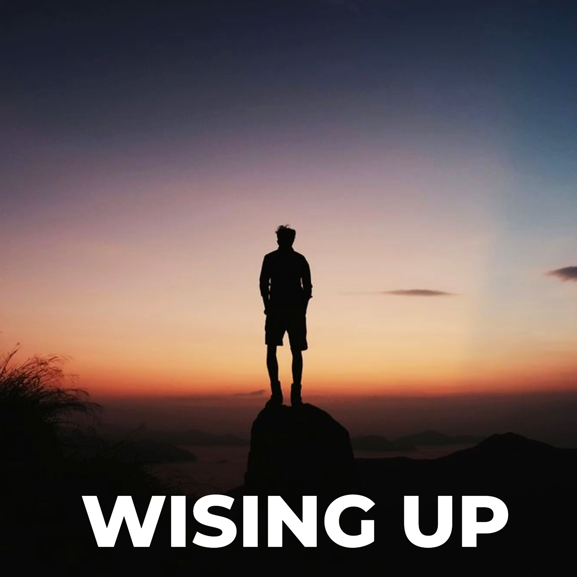 Wising Up - Audio episode artwork