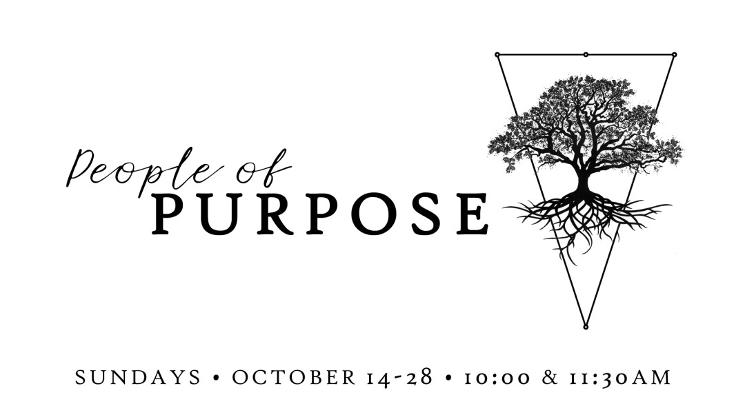 People of Purpose: Launching a New Me - Audio episode artwork