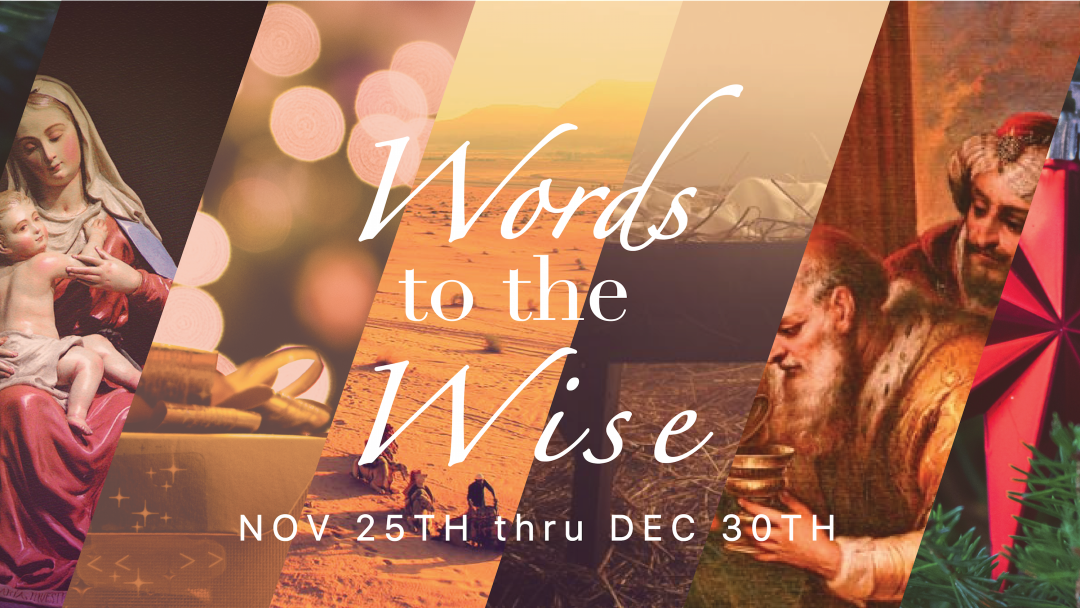 Words to the Wise: The Hope We Long For - Audio episode artwork