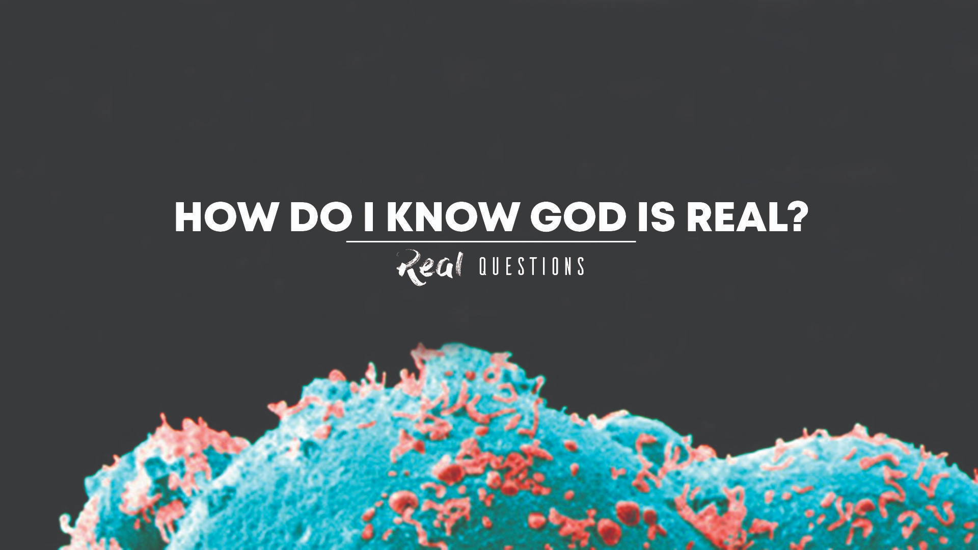 Real Questions (11): How Do I Know God is Real? - Audio episode artwork