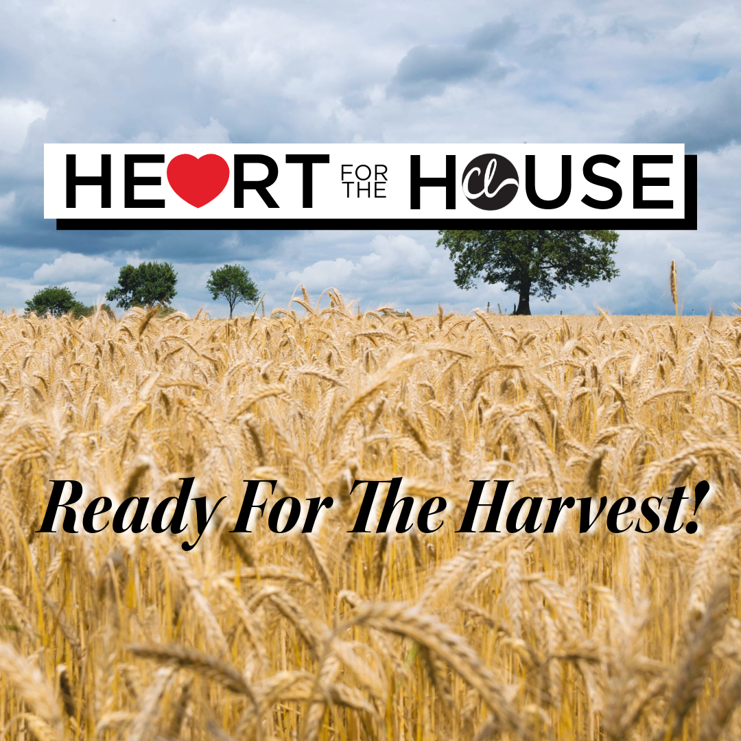 Ready for the Harvest - Audio episode artwork