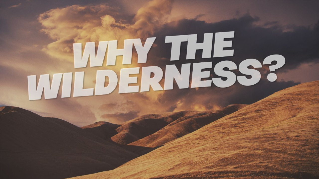 Why the Wilderness? episode artwork