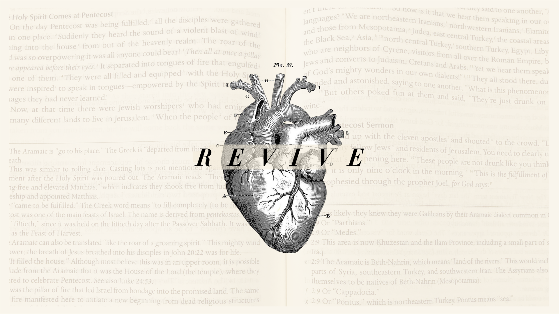 R E V I V E | My City - Audio episode artwork