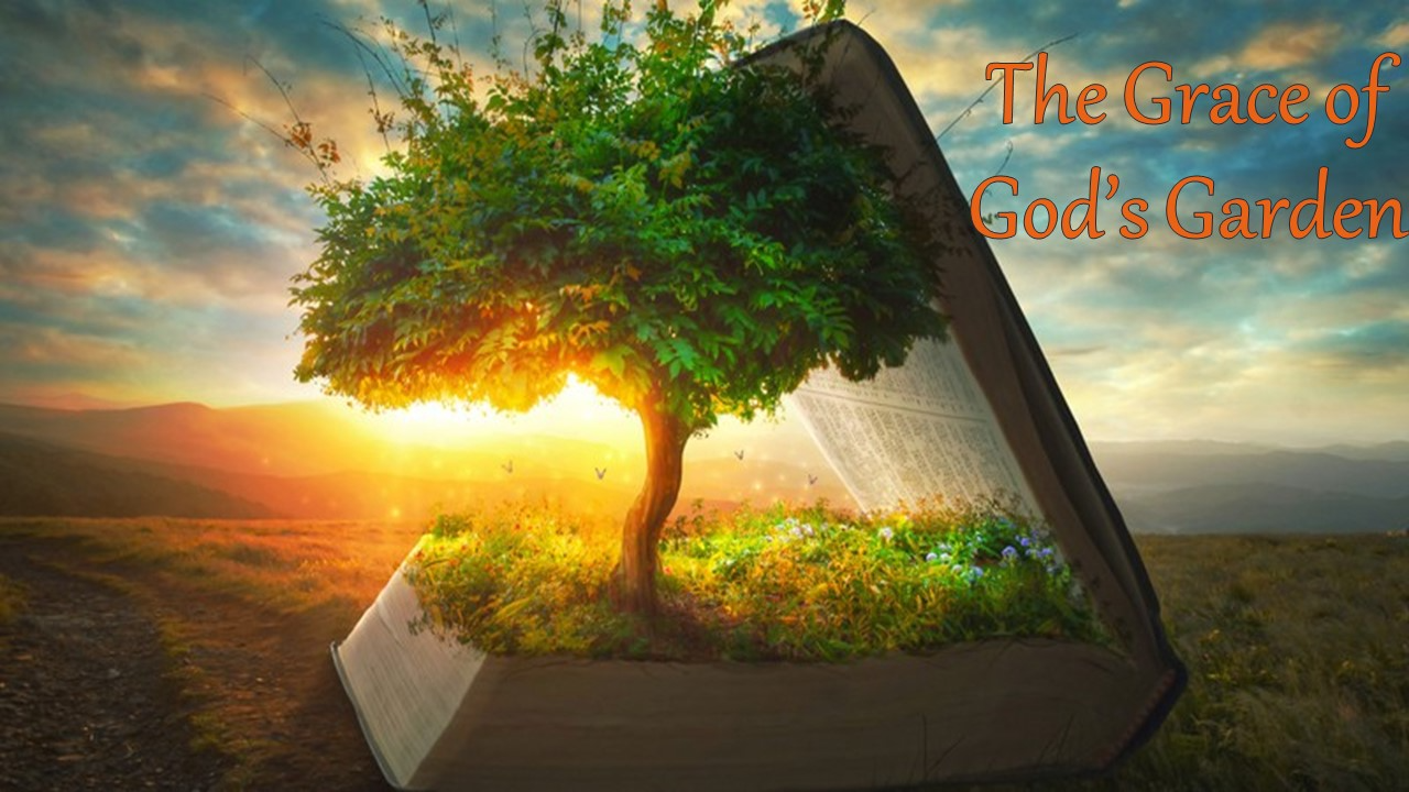 The Grace of God's Garden