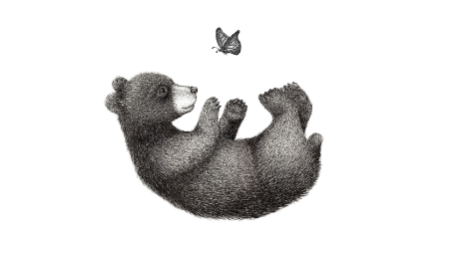 BEAR & BUTTERFLY
