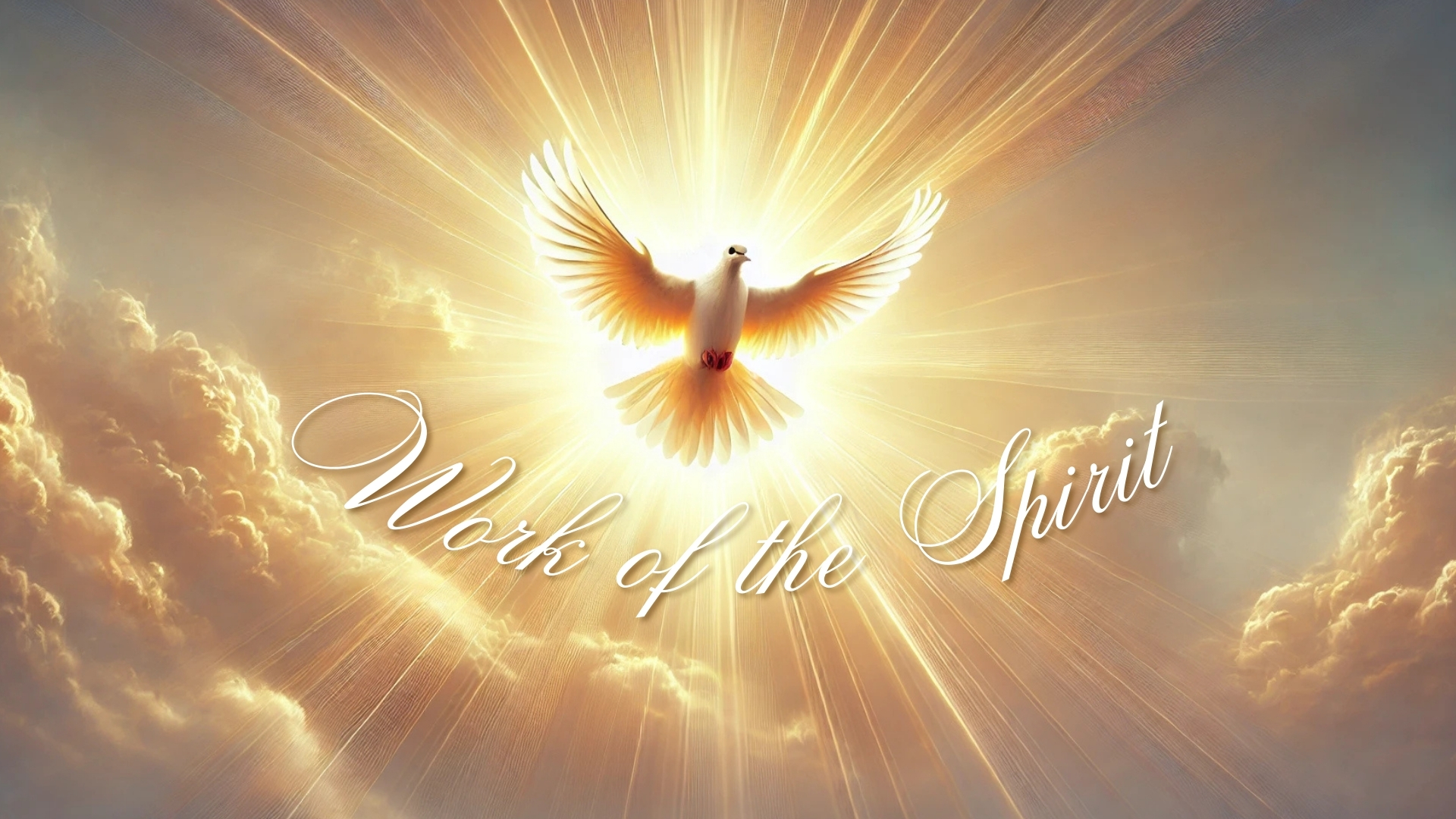Port Charlotte Global Methodist Church Sermons and Messages