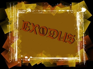 Exodus 10-11 The Locust & Darkness Plagues