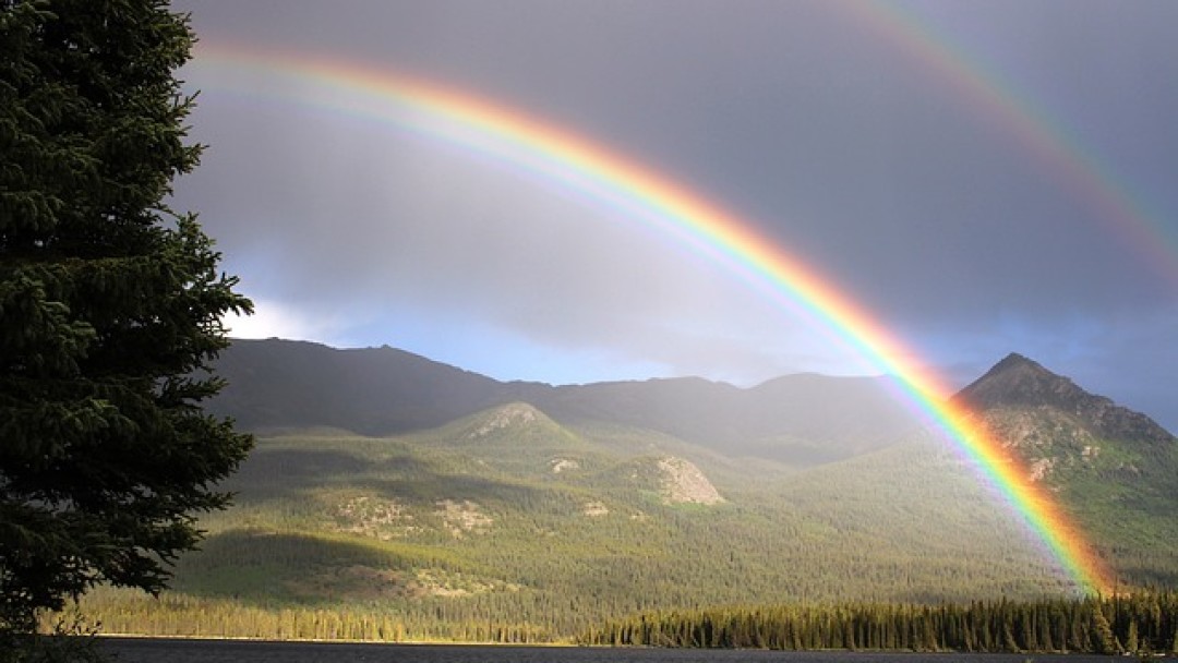 God's Gracious Promise Part 1