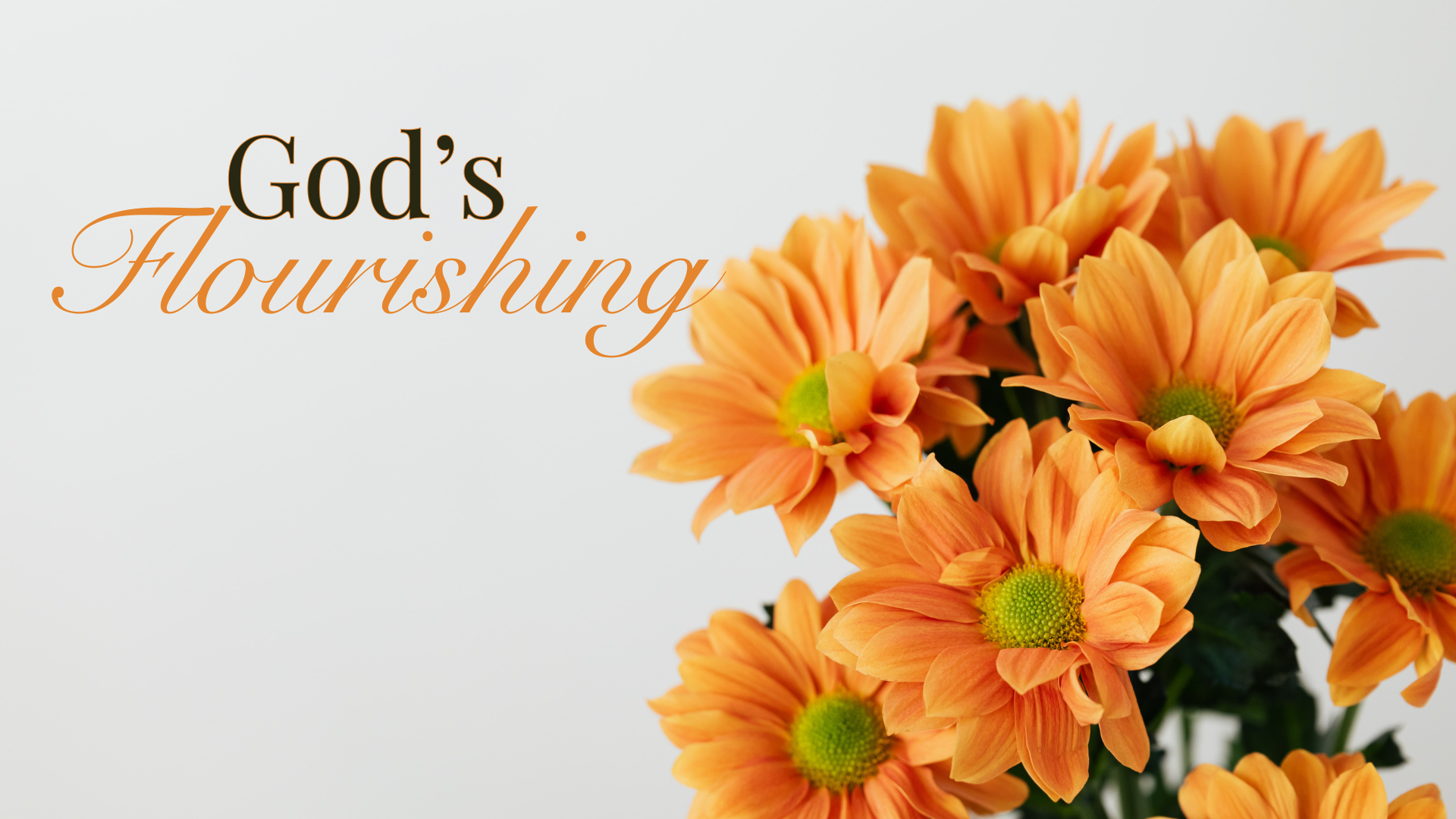 God's Flourishing - Audio episode artwork