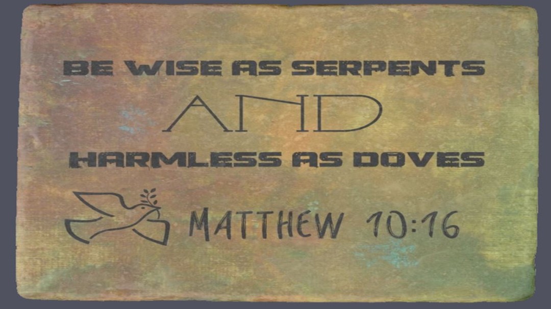 Be Wise as Serpents and Harmless as Doves