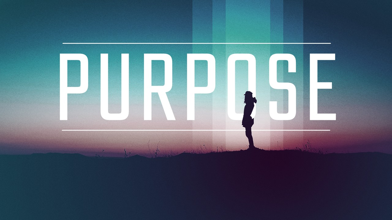 Purpose