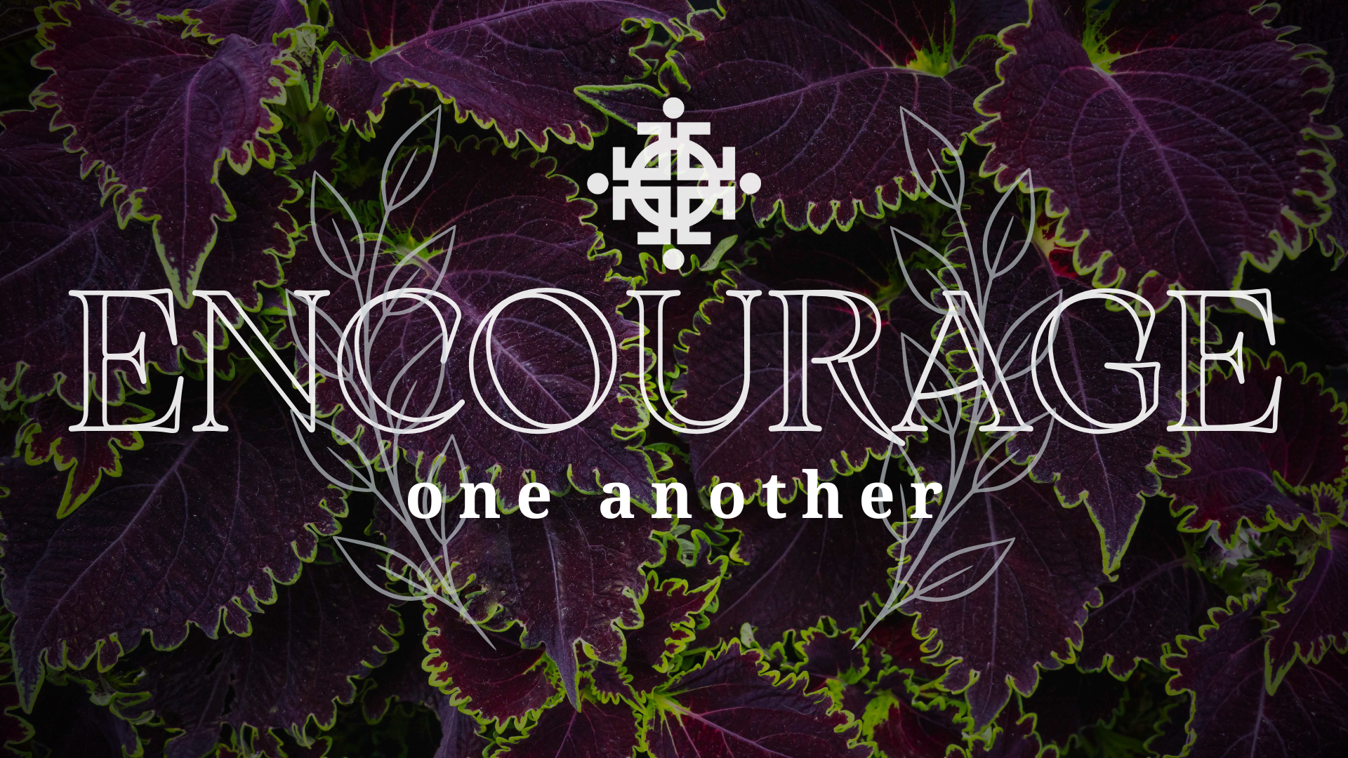 Pursuit Community Church