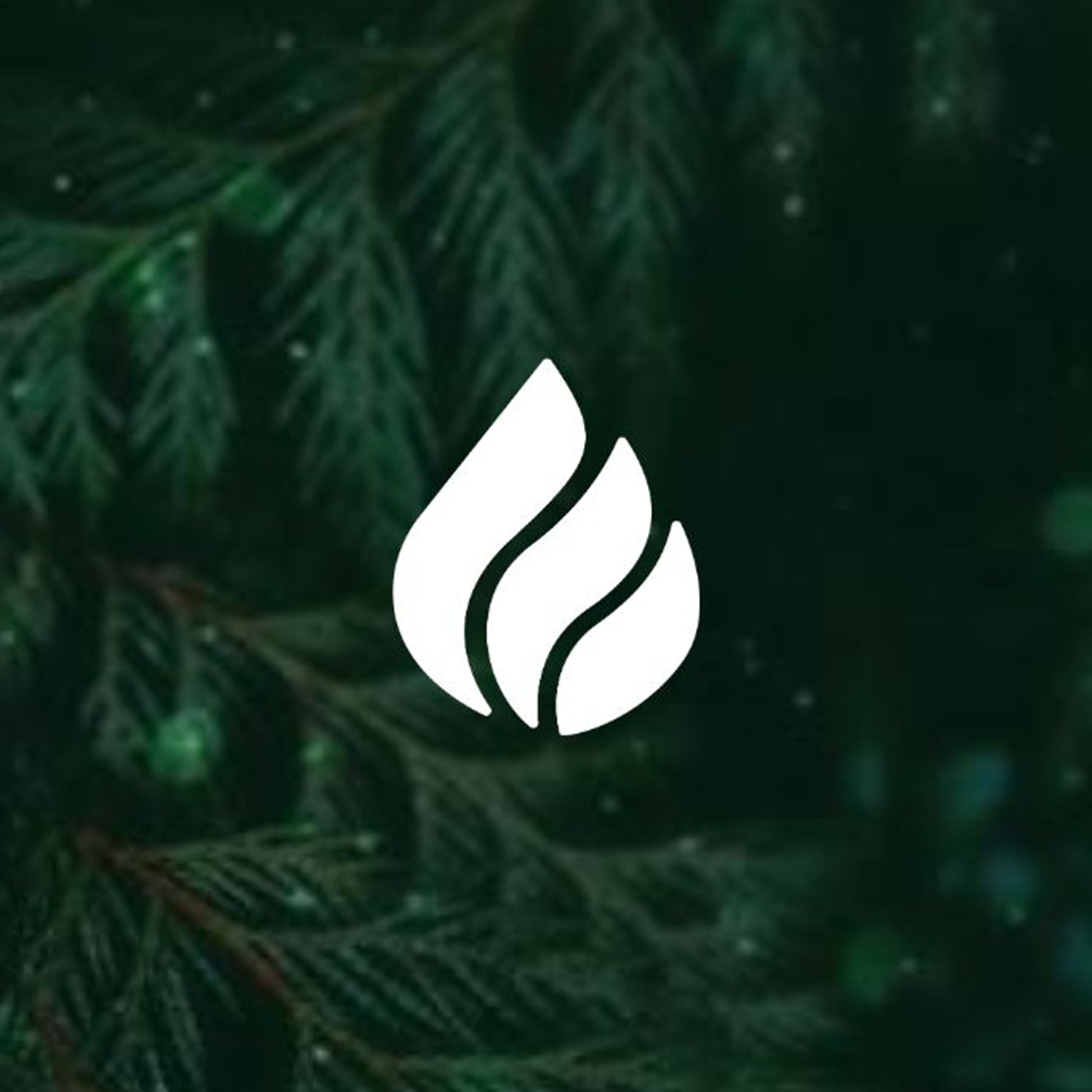 The Christmas Eve Message 